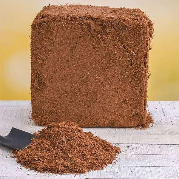 Coco Peat - Image 1