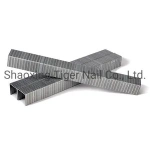 Carton Staple (SB103020) for Packing - Image 2