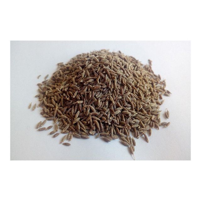 Bulk Organic Black Green Dried Whole Cumin Seeds for Herb and Spices Wholesale High Quality Dried Raw Curry Cumin Seeds Dried Spices Cumin Provide Sample Wholesale High Quality Dried Raw Curry Cumin Seeds Dried Spices Cumin Provide Sample Wholesale High Quality Dried Raw Curry Cumin Seeds Dried Spices Cumin Provide Sample - Image 4