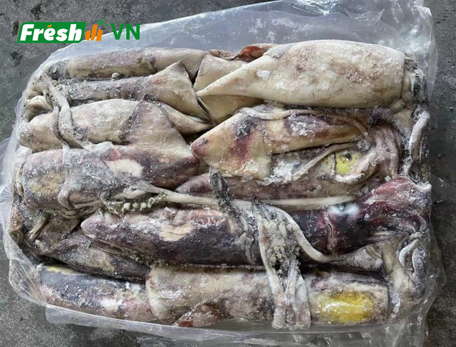 Frozen Black Squid Size 10-15 Color Black Quality High Origin Vietnam Port Cat Lai Port Freshness Level Frozen Packaging 10kgs/carton - Image 5