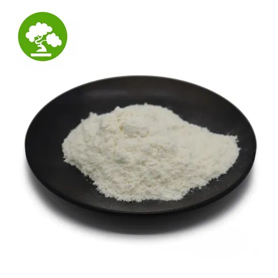 High Quality Food Additive Lactose CAS 63 42 3 - Image 2