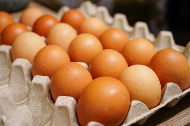 High Quality Fresh Fertile Table Eggs Brown and White Preserved Frozen Cooked High Protein 12trays*30eggs Chicken Eggs - Image 4