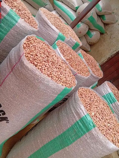 Dry maize corn,Peanut, soybeans, sugar beans and sunflowers oil - Image 3