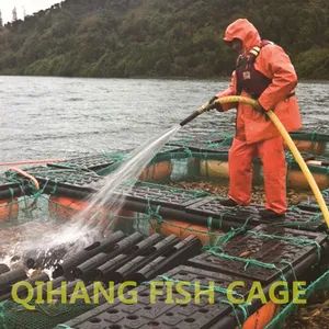 Carp Fish Farming, Catfish Farming Equipment for Sale - Image 5