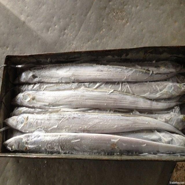Frozen Ribbon Fish Bulk Supply Wholesale Premium Quality Seafood Top Grade Trans-Fat Free Low-Sugar - Image 2