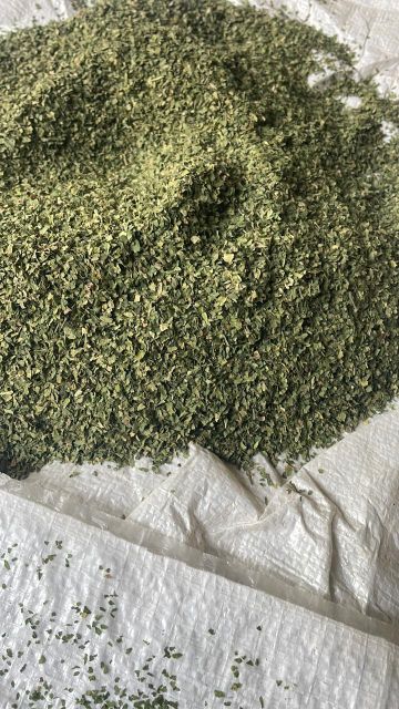 spearmint – product photo 1, product detail gallery