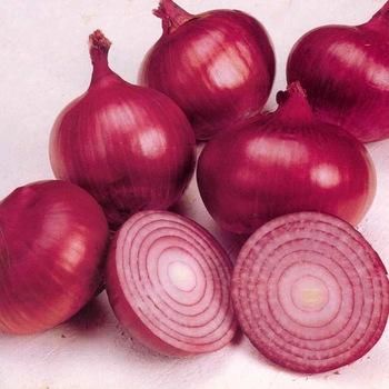 Exporter and Supplier of Fresh Red Onion, Fresh White Onions - Image 3
