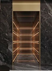 Factory Direct Sales Homes Passenger Elevator Price Persons <5 Origin China Model NO. 007 HS Code 842810 Speed <1.00m/s Capacity - Image 5