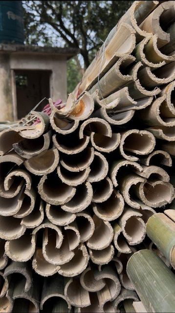 Bamboo splits – product photo 5, product detail gallery