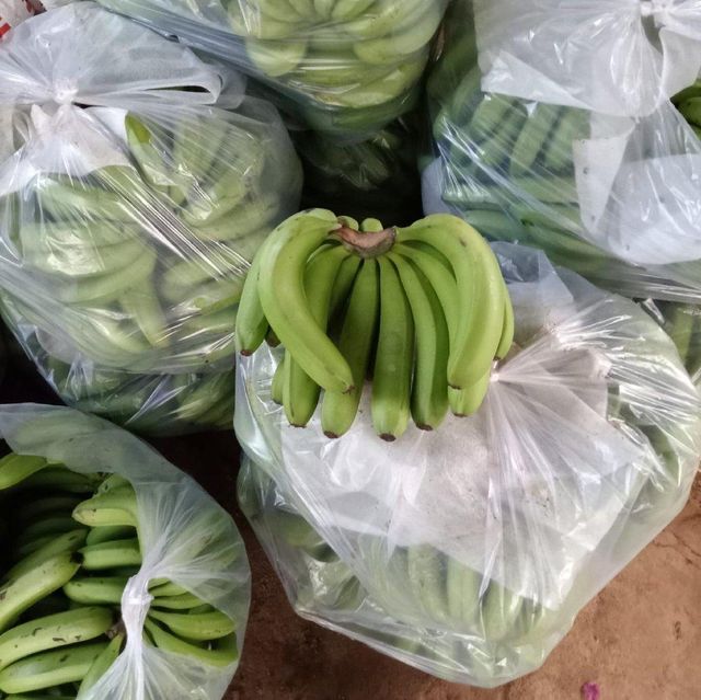 High Quality Fresh Banana - Green Cavendish Banana for China, EU, Japan, USA Market – product photo 4, product detail gallery