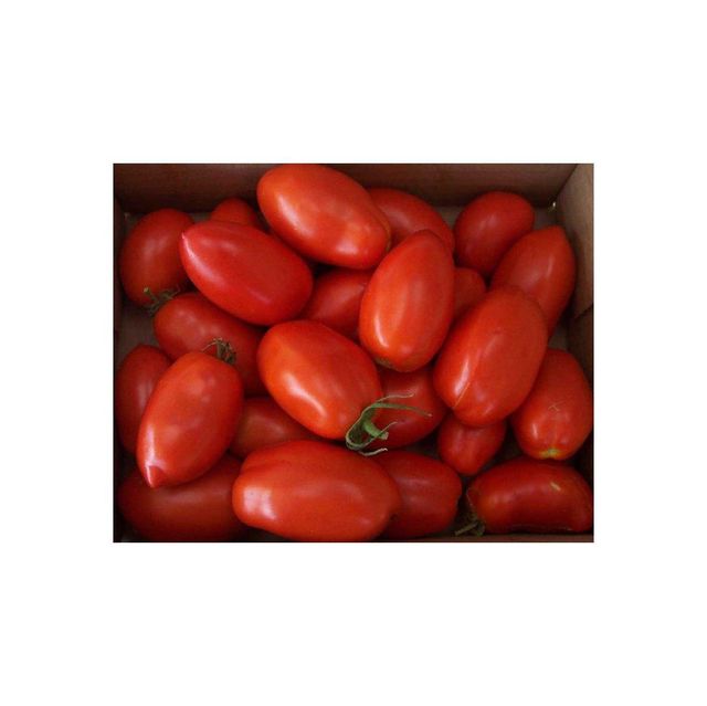 High grade plum tomatoes in stock ready for bulk shipment and export supply - Image 5