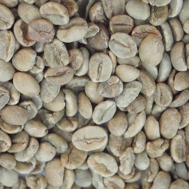 Sun Dried Robusta Coffee Bean Prepared For Export Markets Offering Balanced Strength Robusta Coffee Bean - Image 4