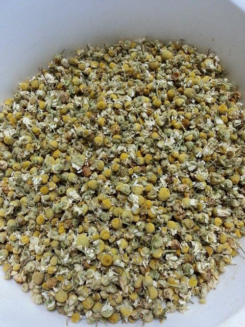 Dried Chamomile Flower - Image 5
