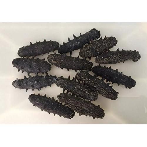 Premium Whole Dried Sea Cucumber High Quality Seafood Bulk Cheap Pricing Wholesale Deals - Image 3