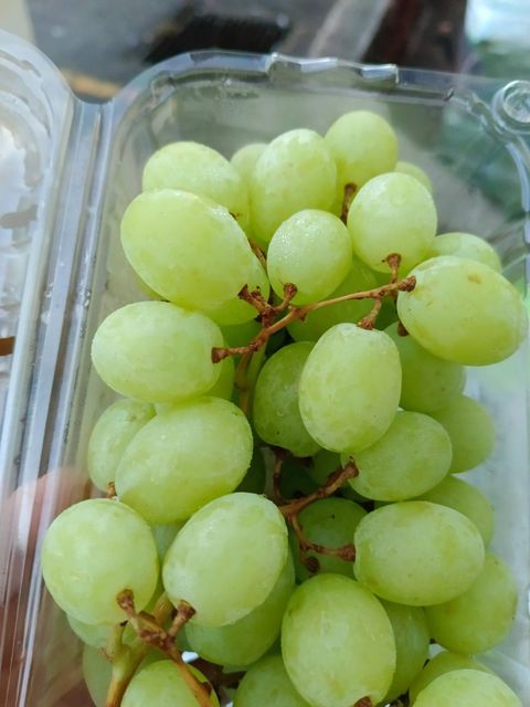 Fresh Seedless Grapes Superior with High Quality and Best Price - Image 2