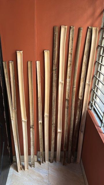 Bamboo sticks - Image 1
