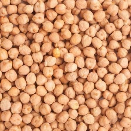 Natural Chickpeas / Dried Chickpea Type Seed Purity 99% Style Natural Damaged 1-2% Max Shelf Life 2 YEARS Moisture Conte - Image 2