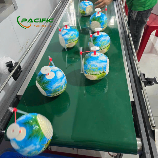 Fresh Young Coconut FDA Certificate, high BRIX – product photo 6, product detail gallery