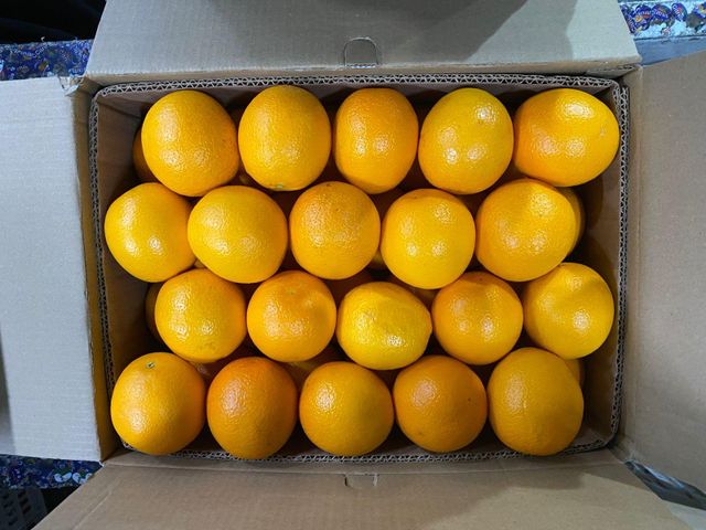Orange and pomegranate - Image 4
