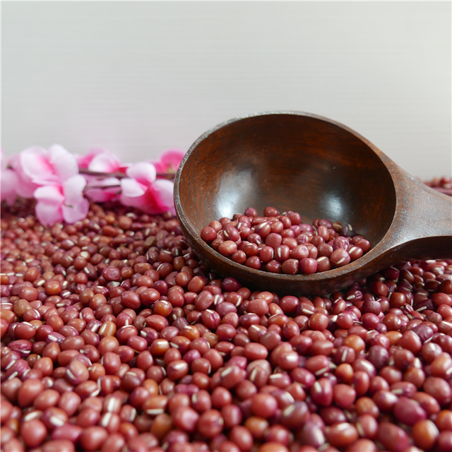 Organic Small Vaccum Packing Tianjin Small Round Red Adzuki 4.5 - 6.0 Mm Bulk Organic Vigna Umbellata Small Red Beans - Image 5