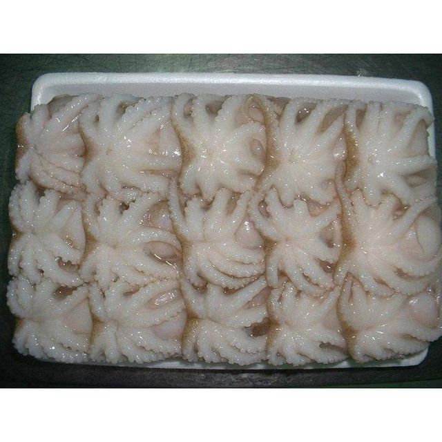 Frozen Baby Octopus Flowers / Baby Octopus IQF – product photo 3, product detail gallery