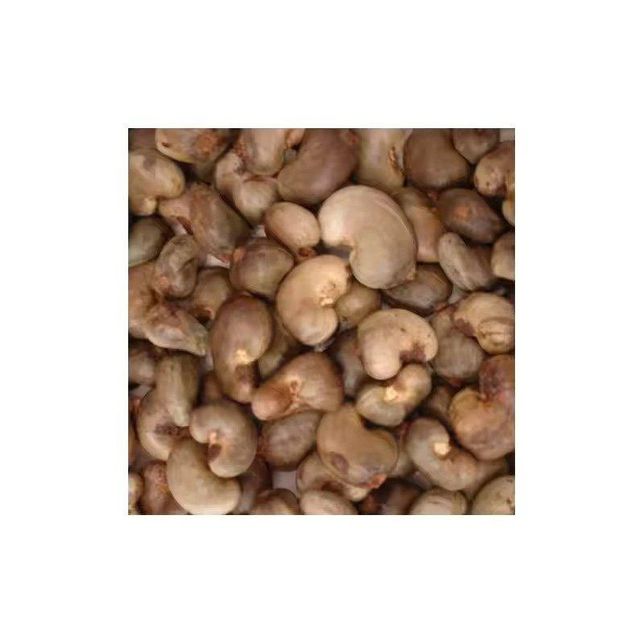 Cheap price Raw Cashew Nuts ideal for roasting packaging and culinary use - Image 2