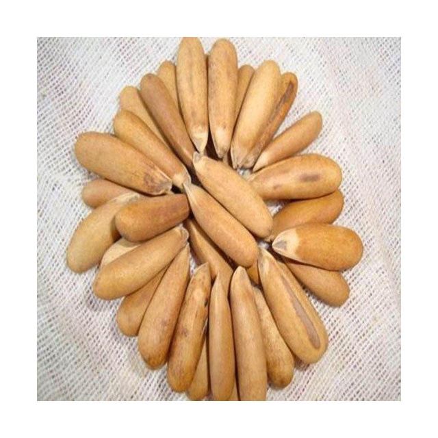 Organic pine nuts available for wholesale sale perfect for retailers and health food suppliers - Image 1