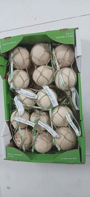 VIETNAMESE FRESH COCONUT – TRIMMED YOUNG COCONUTS | EXPORT-READY - Image 4