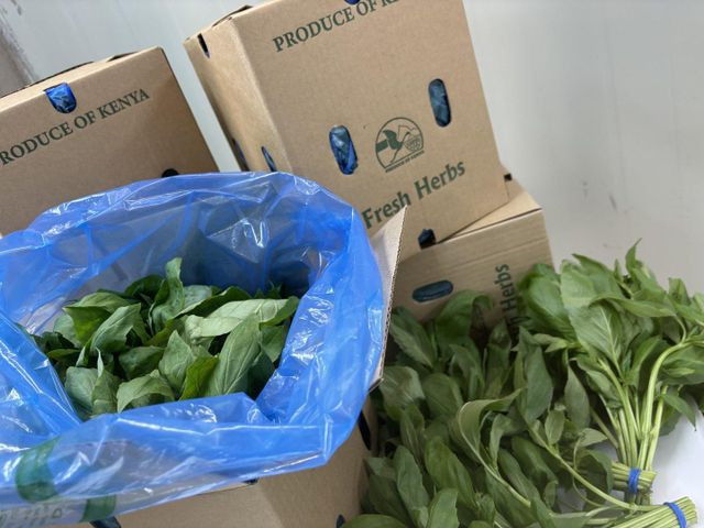 Green basil - Image 4