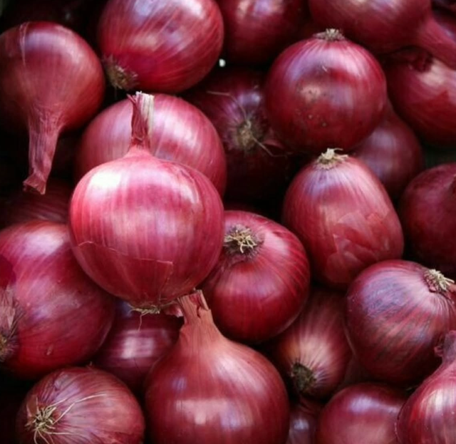 Exceptional Quality Fresh Harvest Premium Fresh Red Onions 10kg,60kg Export Bags On Sale - Image 4