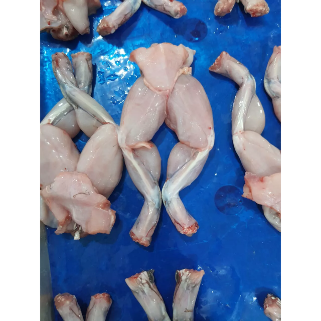 HOT HOT!!! SALE 15% Frozen Frog Leg bull packing/ vacuum packing for sale - Image 6