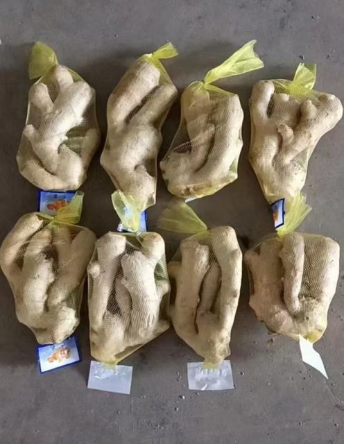 China High Quality Ginger for Wholesale - Image 3