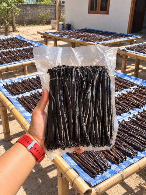 Vanilla Beans Tahitian Grade A - Image 4