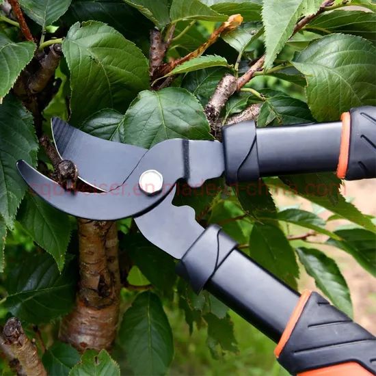 2PCS Pruning Shear Gardening Hand Bypass Secateurs Lopper Shear Set - Image 2