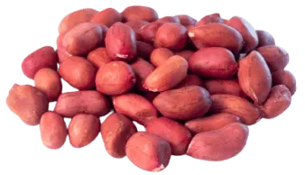 peanuts Origin Uzbekistan Color Red, Yellow, Black Application Cooking, Baking, Direct Consumption Texture Frozen, Dried, Freeze Dried, Raw, - Image 1