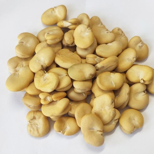 Peeled whole Broad Beans Peeled By hand wholesale - Image 2