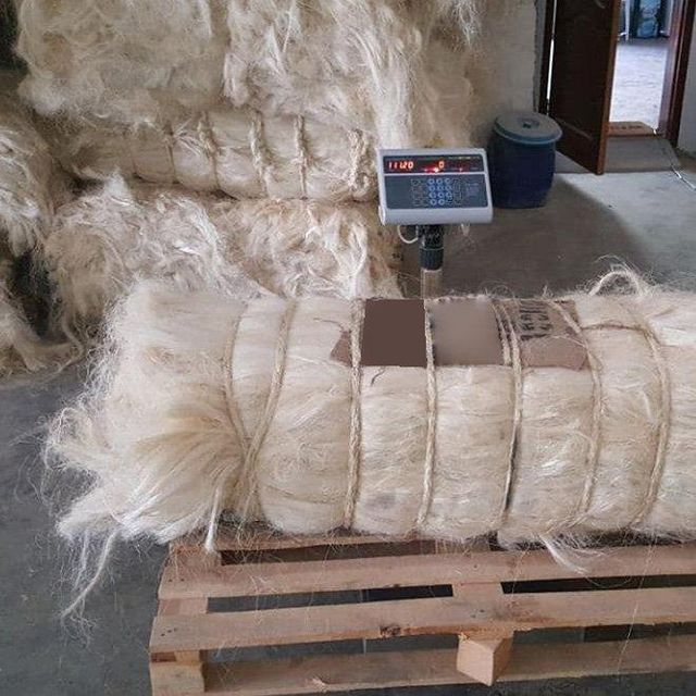 natural sisal fiber in perfect quality for sisal cloth - Image 5