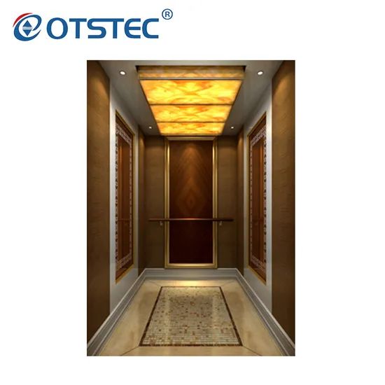 Vvvf Small Machine Room High Quality Lift Elevator Passenger Elevator - Image 4