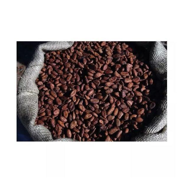 premium raw cocoa beans for chocolate making baking and cocoa powder production high quality natural cacao beans rich in antioxidants minerals and natural flavor perfect for chocolate makers bakeries and healthy recipes - Image 5