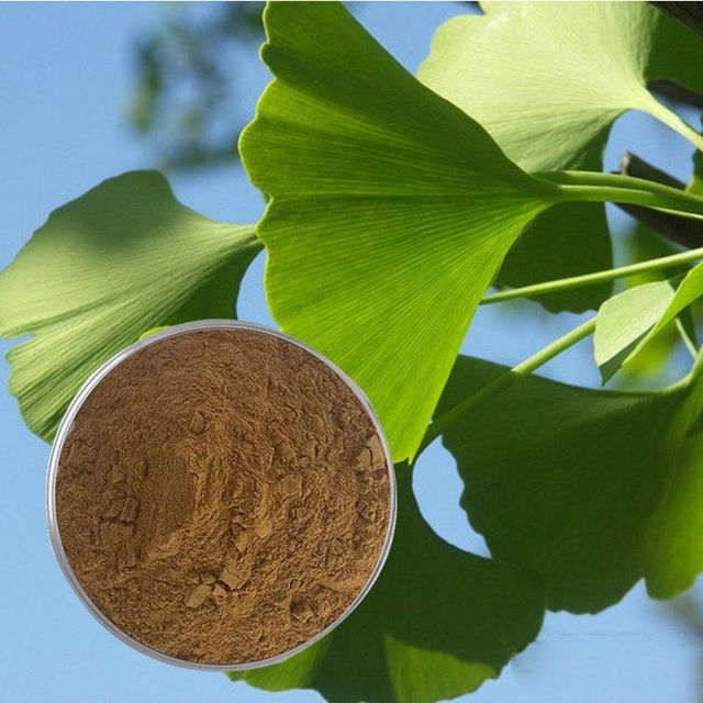 High Quality Ginkgo Biloba Extract Powder 24% Content Manufacturer Flavonoids Supplement Ginkgo Biloba Extract Powder - Image 2