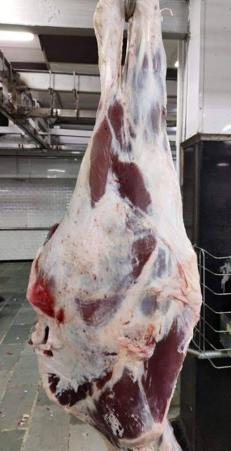 Frozen Chicken & beef Meat Features Organic Freshness Level Frozen Degree of Processing Other Cut Breast, Drumstick, Ground Meat, Other - Image 3