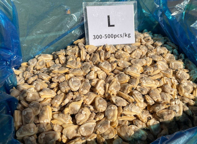 Frozen bolied clam meat - Image 1