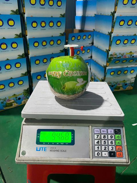 Easy Open Coconut Form Other Organic No Origin vietnam Degree of Processing Fresh Price Per Container Usd 15000 Packaging 1 40-foot Container - Image 2