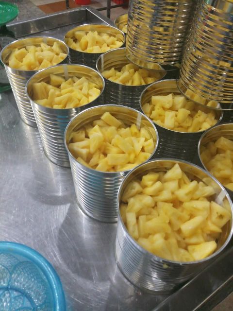 Premium Canned Pineapple Slices Chunks Tidbits in Syrup Bulk Packing for Wholesale Export - Image 4