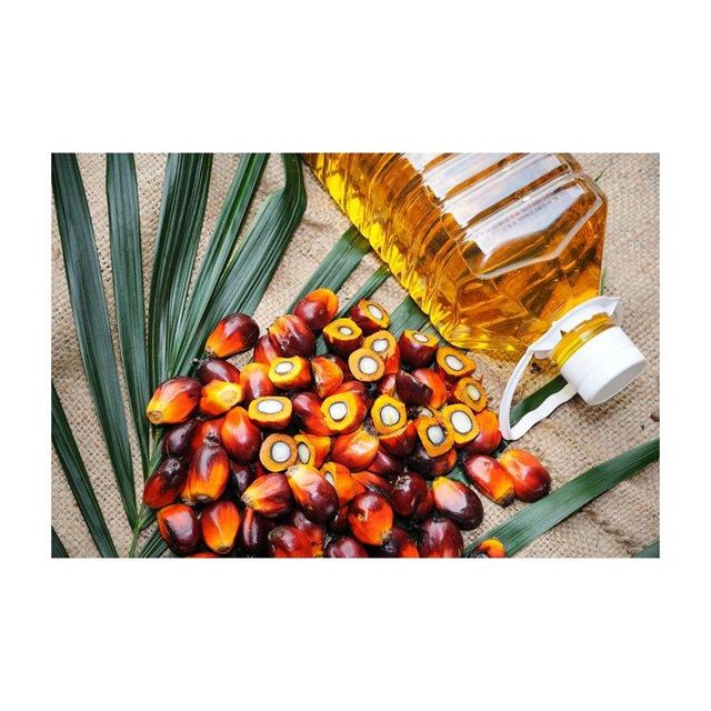 Top Grade PALM OIL / PALM OIL - Olein CP10, CP8, CP6 For Cooking /Palm Kernel Oil - Image 2