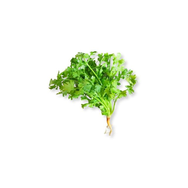 Hew Harvest Low MOQ Pure Natural Dried Coriander Seeds Spices for Food Seasoning Cooking Factory Direct Dried Coriander Dehydrated Coriander High Quality Aromatic Dried Coriander Factory Direct Dried Coriander Dehydrated Coriander High Quality Aromatic Dried Coriander - Image 4