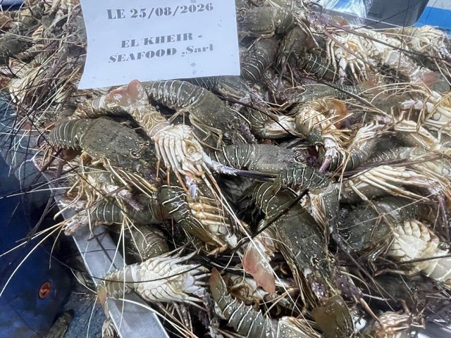 Frozen lobster - Image 2