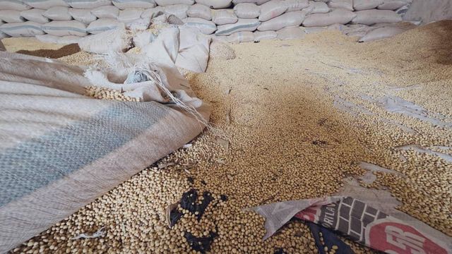 Soya beans Type Soyabean Packaging Jute bags Max. Moisture (%) - Image 2