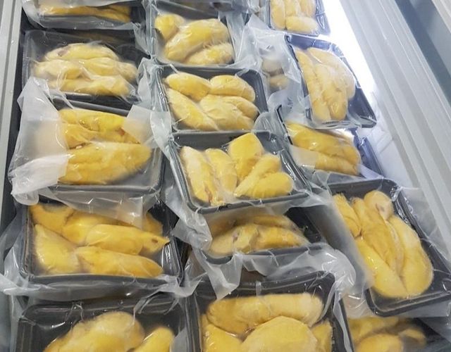 Premium IQF Frozen Durian Flesh Vietnam Frozen Fruit Natural Creamy Ready to Eat Wholesale OEM Supplier - Image 2