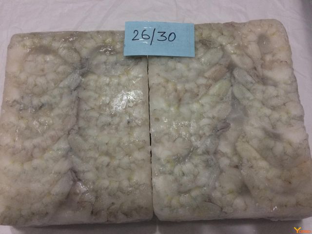 Block frozen pd shrimps E. Coli Absent Defects Absent Foreign Matter Nil Broken Pieces ≤ 2% Form Raw, Block Frozen Texture Firm And - Image 1